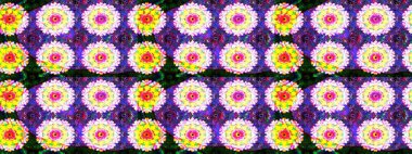 Kızılderili desenli desenli desenli şal deseni. Etnik Mandala süsü. Raster Henna dövme stili. Tekstil, tebrik kartı, boyama kitabı, telefon kılıfı baskısı için kullanılabilir.