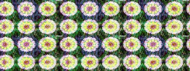 Çiçekli eskiz arkaplanı. Çocuk stili. Renkli Bahar Teması eskiz kalıbı. Düz Çiçek Elementleri Tasarımı.