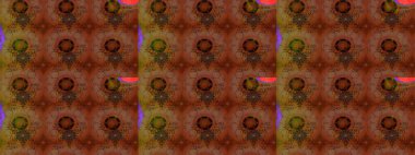 Renklerle. Raster illüstrasyonu. Renkler üzerinde papatya deseni.