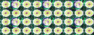 Yumuşak, yeşil renkli bahar çiçekleri. Çiçek ve yapraklı karalama şeklinde Raster çiçek deseni. Raster illüstrasyonu.