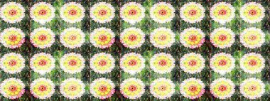 Küçük bir çiçekte eskiz deseni. Hoş bir çiçek geçmişi var. Güzel kumaş deseni. Raster illüstrasyonu.