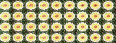 Çiçek yeşili eskiz deseni. Raster çiçek izi. Klasik taslak çizimi.