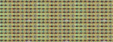 Tarafsız renklerde etnik çiçeklerle süslenmiş zarif bir eskiz. Asya Tekstil 'inde Raster Çiçek İllüstrasyonu.