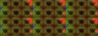 Renkli Yaz Temalı eskiz kalıbı. Düz Çiçek Elementleri Tasarımı. Sevimli çiçek raster deseni. Kahverengi renkte çiçekler.