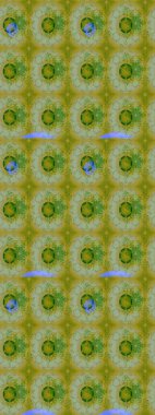 Çiçekli zambakların eskiz geçmişi. Parlak çiçekli kolaj çiçekleri yeşildir. Çiçek tasarımı için inanılmaz kolaj cennet tarzı..