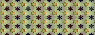 Kızılderili desenli desenli desenli şal deseni. Etnik Mandala süsü. Raster Henna dövme stili. Tekstil, tebrik kartı, boyama kitabı, telefon kılıfı baskısı için kullanılabilir.