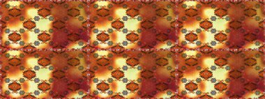 Çiçek kolajı. Doğa. Küçük çiçekte güzel bir desen var. Raster deseni. - Kahverengi ve turuncu çiçekler. Çiçek kompozisyonu. Çiçek arka planı.