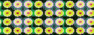 Sarı renkte çiçek desenli çizimler, el yapımı papatyalar, papatyalar. Tekrar eden çiçek arkaplanı, zarif sarı çiçek duvar kağıdı..