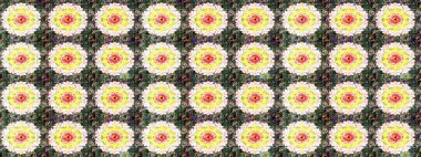 Çizim çiçek deseni duvar kâğıdı olarak kullanılabilir. Tarafsız renklerde çiçekler. Raster illüstrasyonu.