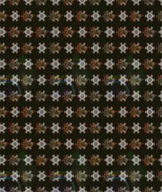 Gri renkli çiçekler. Yumuşak, yaz çiçekli arka plan. Raster çiçek desenli ve çiçekli..