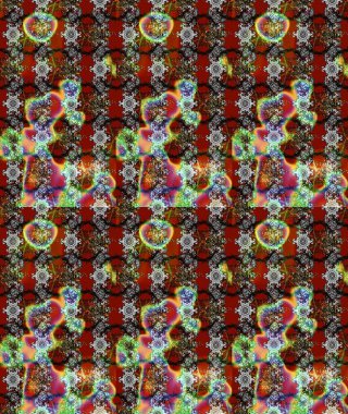 Parlak renkli çiçekleri ve gri renkli yaprakları olan harika bir çiçek deseni. Moda baskıları için zarif bir şablon. Modern çiçek arkaplanı. Halk stili.