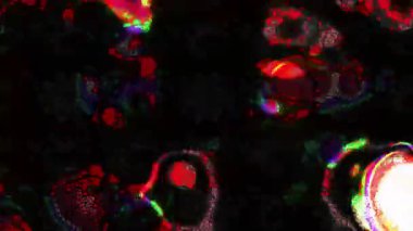 Renkli unsurlarla hareketli arka plan görüntüleri. Çiçekler. Eski model. Bayrak tarzı. Video kaydı. Şablon. Döngü. Kusursuz.. 