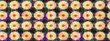 Çiçekli çiçek deseni, suluboya. Raster deseni. Süslü kumaş deseni.