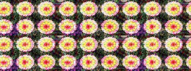 Çiçekli çiçek deseni, suluboya. Raster deseni. Süslü kumaş deseni.