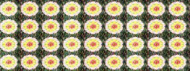 Kızılderili desenli desenli desenli şal deseni. Etnik Mandala süsü. Raster Henna dövme stili. Tekstil, tebrik kartı, boyama kitabı, telefon kılıfı baskısı için kullanılabilir.