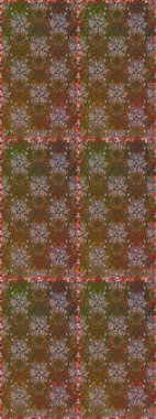 Kahverengi ve bej renklerde. Kahverengi ve bej renkli papatyaların kahverengi ve bej renkleri. Raster illüstrasyonu.