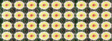 Çiçek arkaplan. Çizim raster deseni. Güzel kumaş deseni.