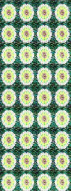 Üzerinde yeşil renkte karalamalar olan çiçek desenleri çiz. Raster illüstrasyonu.