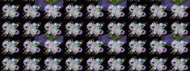 Kabile sanatı boho baskısı, klasik çiçek arkaplanı. Soyut etnik raster çizim kalıbı. Arkaplan dokusu, duvar kağıdı, siyah renkli çiçek teması.