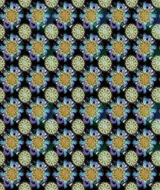 Suluboya çizimi. El çizimi. Çiçeklerle kusursuz desen. Siyah ve nötr renkte çiçekler.