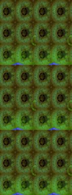 Çiçekli karalama şeklinde Raster çiçek deseni. Nazikçe, renkli yaz çiçekleri. Raster illüstrasyonu.