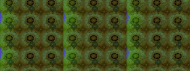 Küçük renkli çiçekler. Robot resim. Çiçekli bahar çiçekleri. Küçük çiçekte güzel bir desen. Moda baskıları için zarif bir şablon. Motley illüstrasyonu.