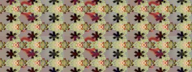 Raster illüstrasyonundaki çiçek desenli çizim. Suluboya tarzında nötr renkler üzerine çiçekler.