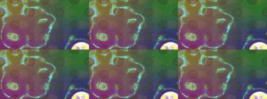 Sınır Kızılderili çiçekli paisley patten. Taslak süsleme izi. Etnik Mandala havlusu. Raster Henna tarzı. Tebrik kartı arkaplanı, boyama kitabı, arkaplan, tekstil için kullanılabilir.