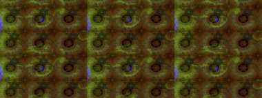 Çiçekli zambakların eskiz geçmişi. Çiçek tasarımı için inanılmaz bir kolaj cenneti tarzı. Parlak çiçekli kolaj çiçekleri kahverengi.