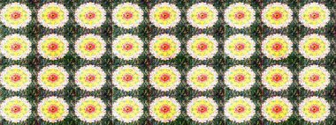 Yeşil renkli çiçekler. Düz Çiçek Elementleri Tasarımı. Çiçek desenli çizim. Raster illüstrasyonu. Renkli Bahar Teması eskiz kalıbı. Asya tekstil tarzında.