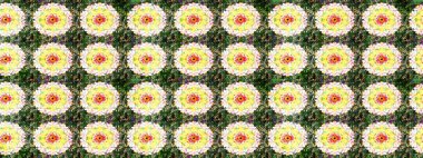 Küçük çiçekteki sevimli çiçek deseni. Yeşil renkli çiçekler. Raster illüstrasyonu.