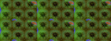 Çizim çiçek deseni duvar kağıdı, web sitesi arka planı, ambalaj kağıdı, davetiye, broşür, afiş veya web sitesi için kullanılabilir. Karalama elementleri. El çizimi Raster illüstrasyonu.