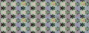 Raster illüstrasyonu. Gri renklerde. Gri renkli gri papatya deseni.