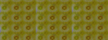 Düz Çiçek Elementleri Tasarım Raster illüstrasyonu. Renkli Bahar Teması eskiz kalıbı. Çiçek desenli eskiz. Kahverengi renkte çiçekler.