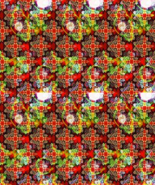 Etnik Mandala süsü. Raster Henna dövme stili. Tekstil, tebrik kartı, boyama kitabı, telefon kılıfı baskısı için kullanılabilir. Hint çiçekli desenli şal desenli..