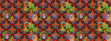 Vadinin renkleri. Soyut etnik raster çizim kalıbı. Çiçekler..