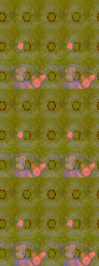 Raster düz çiçek çizim deseni. Kahverengi ve nötr renklerde çiçekler. Tasarım hediye paketi, tebrik kartları, posterler ve afiş tasarımı.