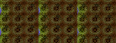 Raster illüstrasyonu. Suluboya çizim kalıbı. Eski model. Moda baskısı. Dekorasyon ve tasarım için güzel bir desen. Çiçeğin suluboya çizimlerinin zarif deseni.