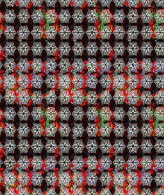 Yumuşak, bahar çiçekleri siyah renklerde. Çiçek ve yapraklı karalama şeklinde Raster çiçek deseni. Raster illüstrasyonu.