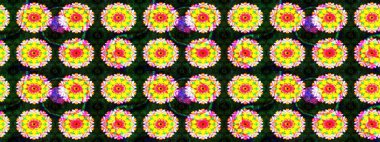 Çiçeğin suluboya çizimlerinin mükemmel deseni. Ton halinde. Moda baskısı. Dekorasyon ve tasarım için güzel bir desen. Suluboya desenli çiçek deseni.