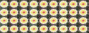 Raster çiçek desenli çiçek deseni, yapraklar, dekoratif elementler, sıçrama, lekeler, el çizimi kontur çizgileri ve Doodle çizim stili, grafik raster çizim çizimi.