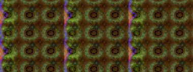 Patlayan çiçekler soyut olarak yerleştirilmiş. Raster illüstrasyonu. Raster deseni. Yumuşak, bahar çiçekleri kahverengi renklerde.