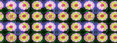 Moda baskısı. Çiçeğin suluboya çizimlerinin mükemmel deseni. Suluboya çizim kalıbı. Eski model. Dekorasyon ve tasarım için güzel desen.