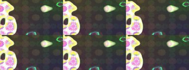 Çiçek arkaplan. - Gri çiçekler. Çiçek kolajı. Çiçek kompozisyonu. Doğa. Raster deseni. Küçük çiçekte güzel desen var..