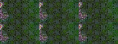 Çiçekli yaz çiçekleri. Moda baskıları için zarif bir şablon. Küçük çiçekte güzel bir desen. Motley illüstrasyonu. Robot resim. Küçük renkli çiçekler..