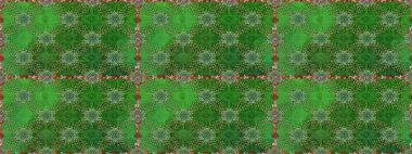 3 boyutlu çiçekler, pürüzsüz. Raster illüstrasyonu. Yeşil ve nötr renklerde.