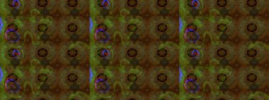 Küçük renkli çiçekler. Küçük çiçekte güzel bir desen. Moda baskıları için zarif bir şablon. Çiçekli bahar çiçekleri. Motley illüstrasyonu.