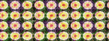Çiçek deseni. Renkli Bahar Teması eskiz kalıbı. Raster güzel kumaş deseni çiziyor. Düz Çiçek Elementleri Tasarımı.