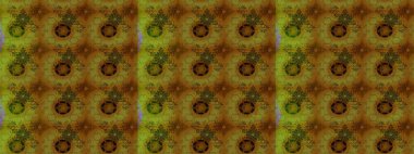 Raster illüstrasyonu. Kahverengi renklerde. 3D çiçekler, çizim.