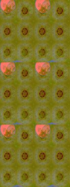 Raster illüstrasyonu. Düz Çiçek Elementleri Tasarımı. Güzel kumaş deseni. Çiçek desenli çizim. Asya tekstil tarzında. Renkli Bahar Teması çizim şablonu.